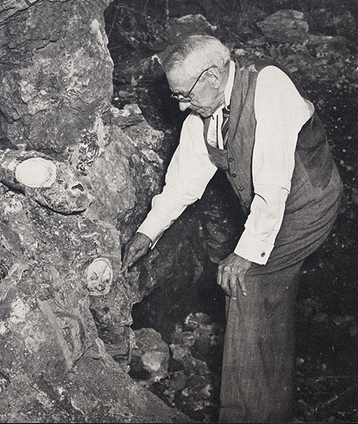 Gallery of Robert Broom