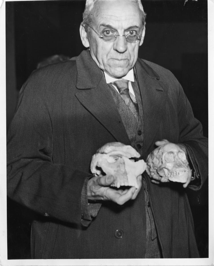 Gallery of Robert Broom