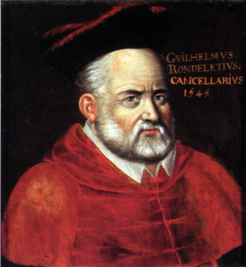 teacher: Guillaume Rondelet
