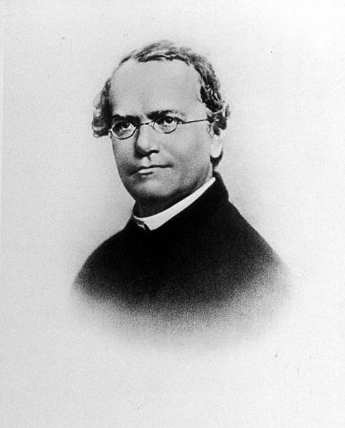 Gallery of Gregor Mendel