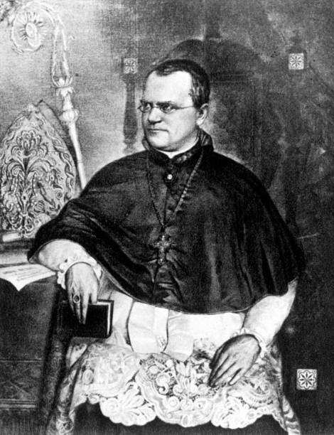 Gallery of Gregor Mendel