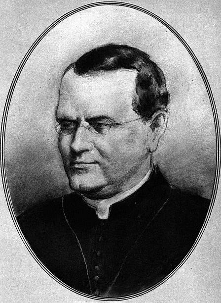 Gallery of Gregor Mendel