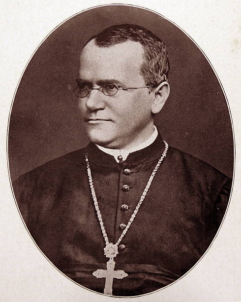 Gallery of Gregor Mendel
