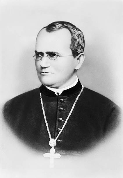 Gallery of Gregor Mendel