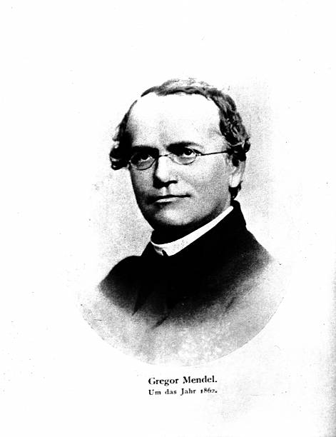 Gallery of Gregor Mendel