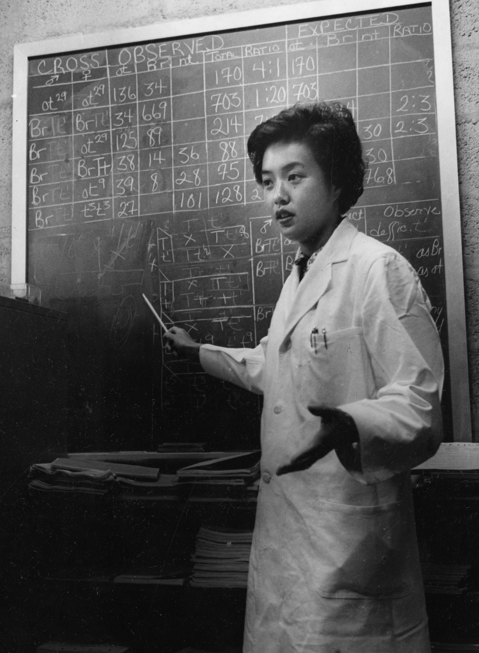 Anna Pai