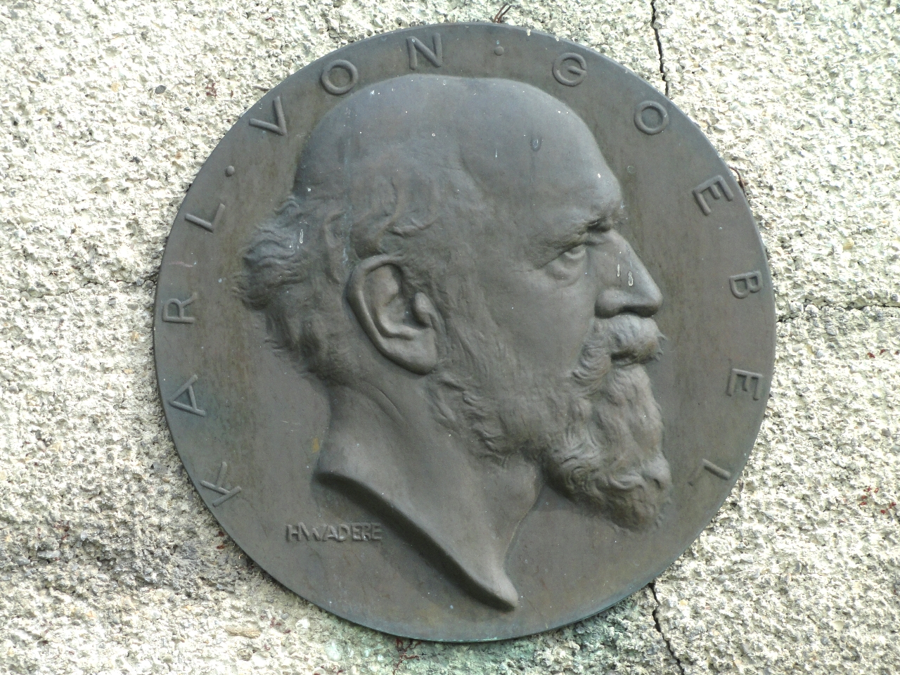Karl Goebel