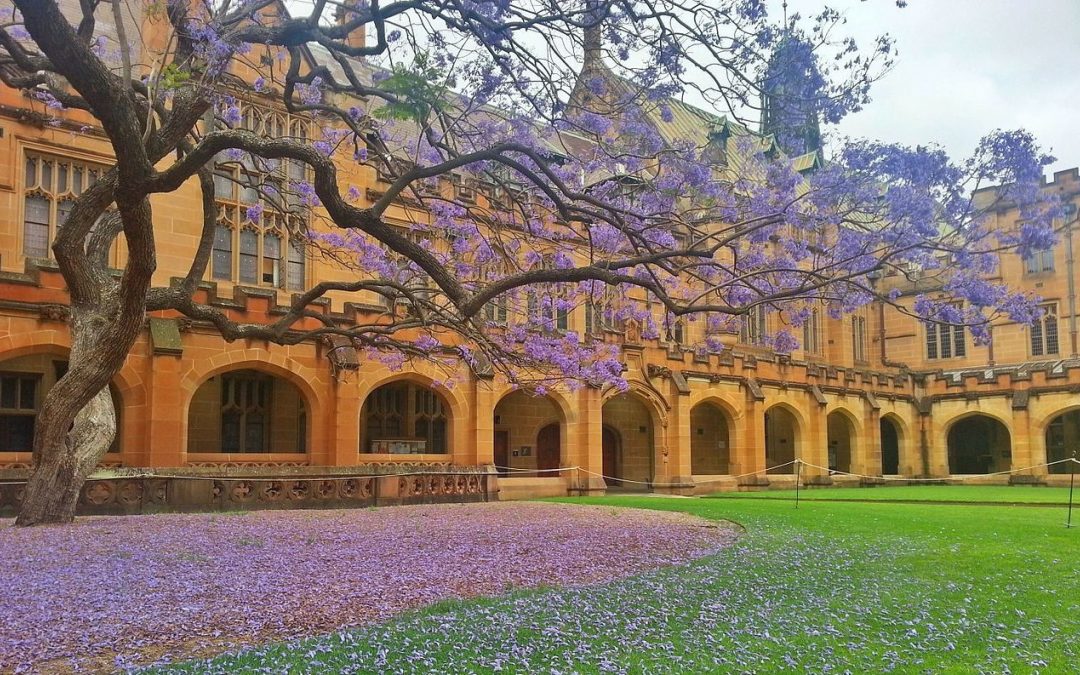 Education period of John Gero in University of Sydney