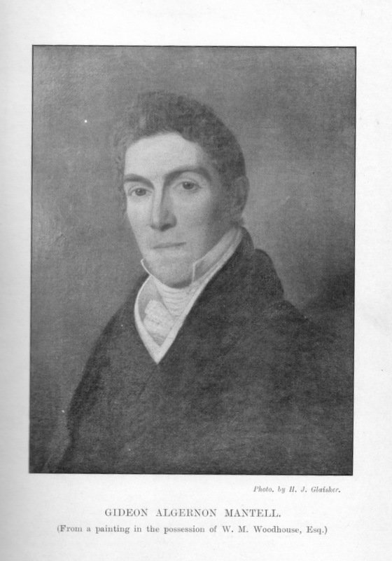 Gallery of Gideon Mantell
