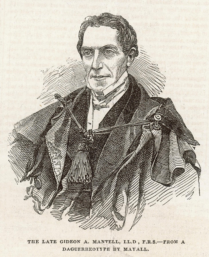Gallery of Gideon Mantell