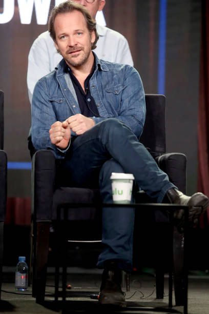 Gallery of Peter Sarsgaard