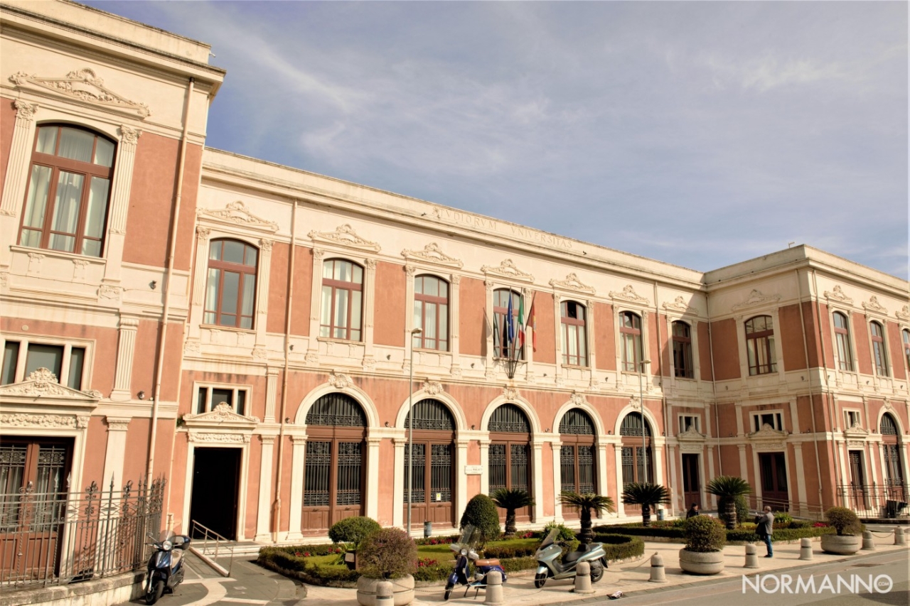 Gallery of Vincenzo Consolo
