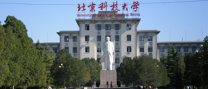 Gallery of Ping Chen