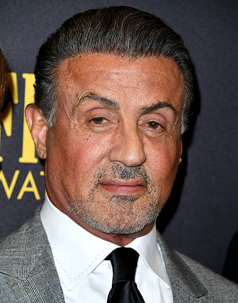 Gallery of Sylvester Stallone
