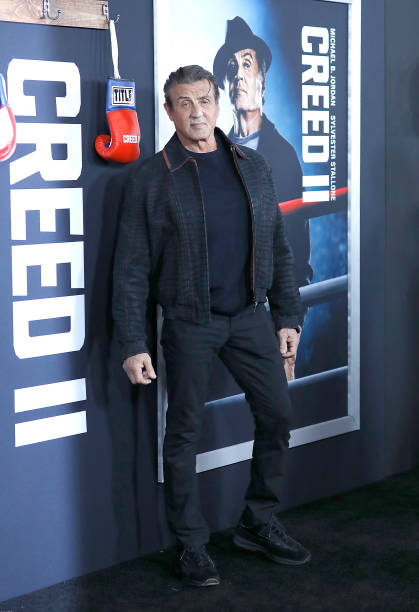Gallery of Sylvester Stallone