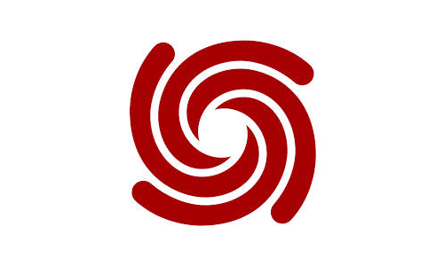 American Anthropological Association