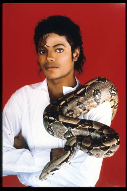 Gallery of Michael Jackson