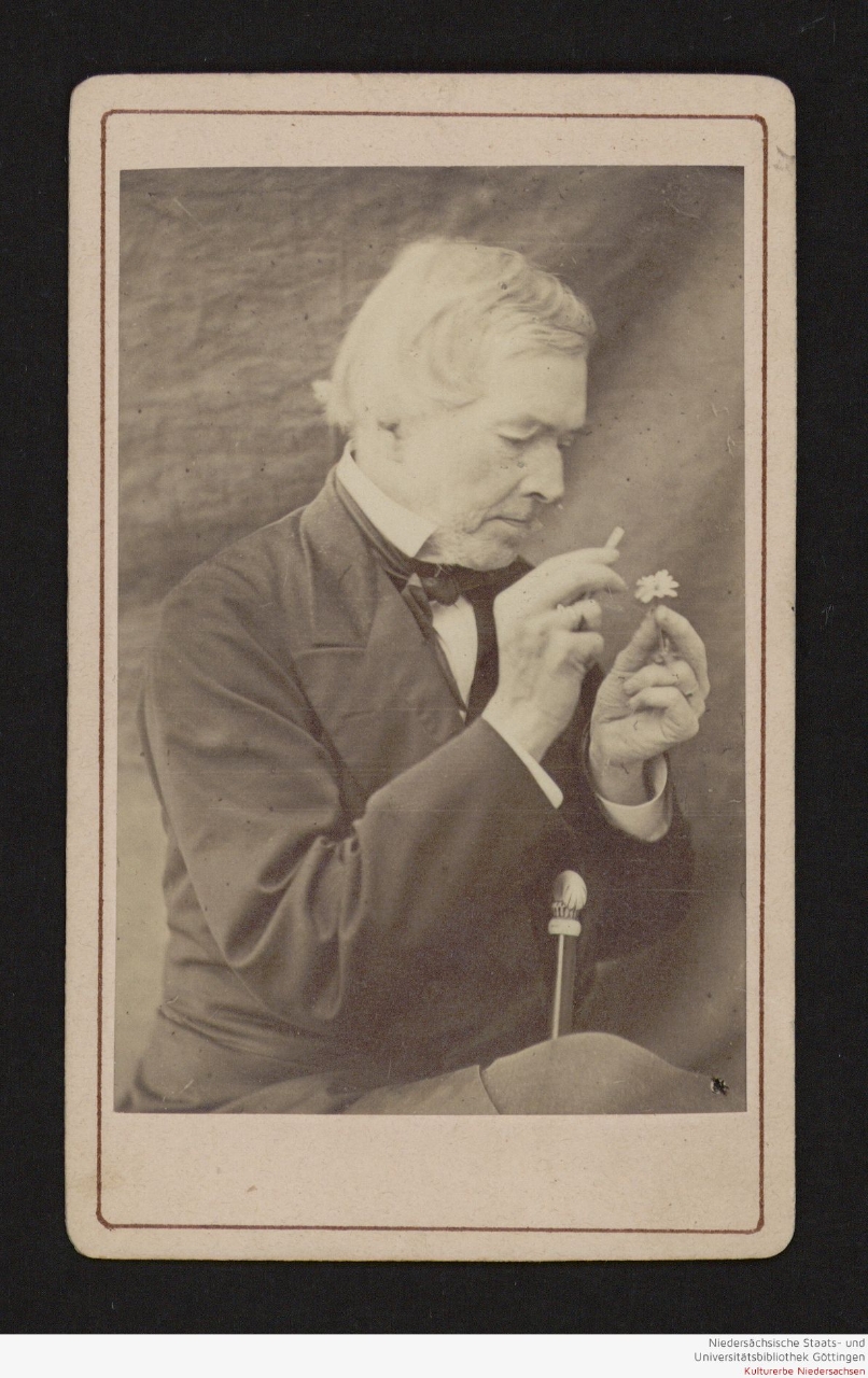 August Grisebach