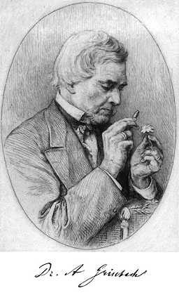 Gallery of August Grisebach