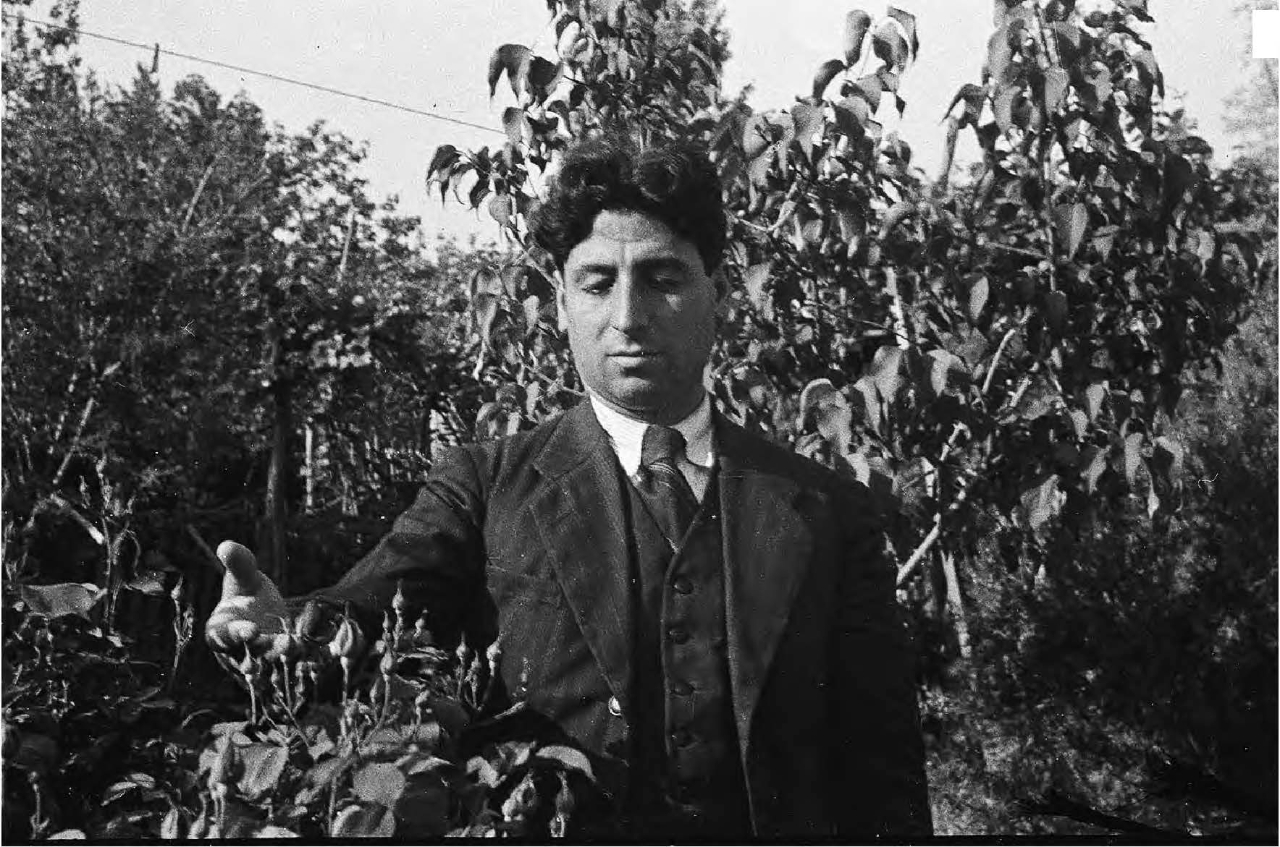 Gallery of Ismail Akhundov