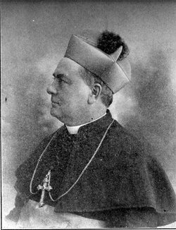 James McFaul