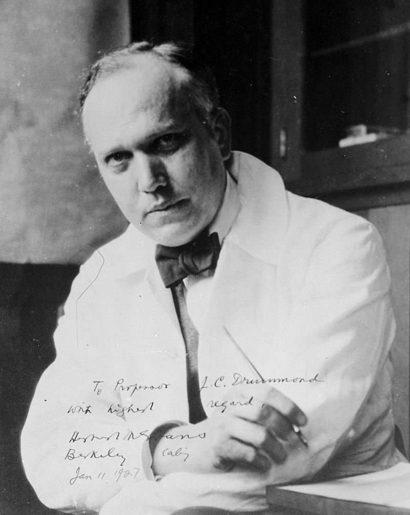 Herbert Evans