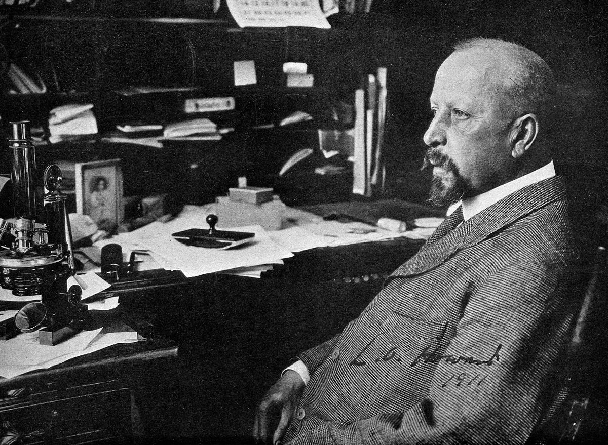 Leland Howard