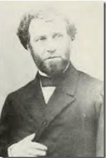 Electus Litchfield