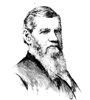 William Wilmer
