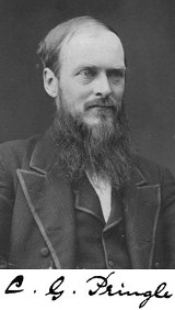 Cyrus Pringle
