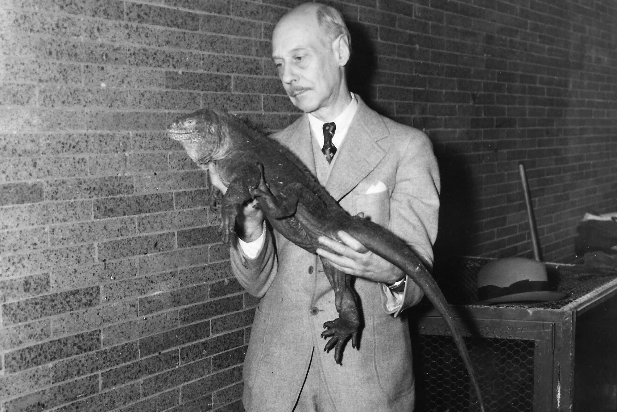 Raymond Ditmars