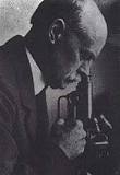 Frank Mallory