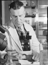 Gladwyn Noble