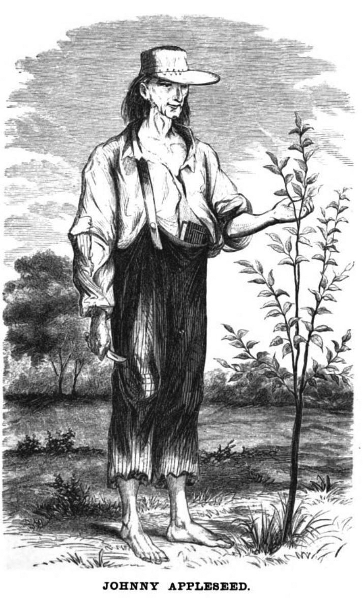 John Chapman