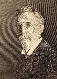 Stephen Schoff