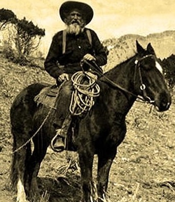 William Hamilton