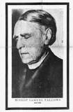 SAMUEL FALLOWS