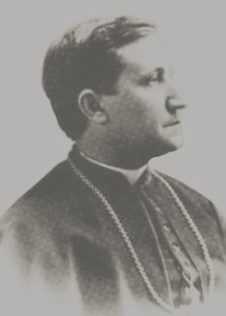 Denis Bradley