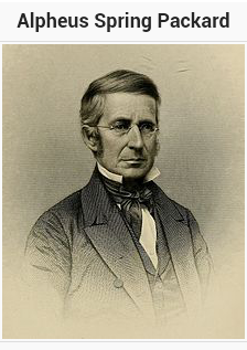 Alpheus Packard