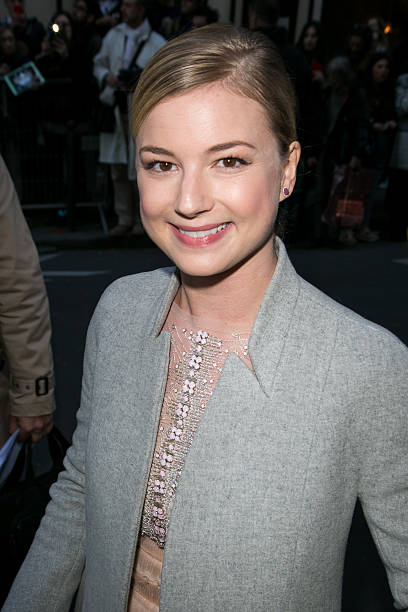 Gallery of Emily VanCamp