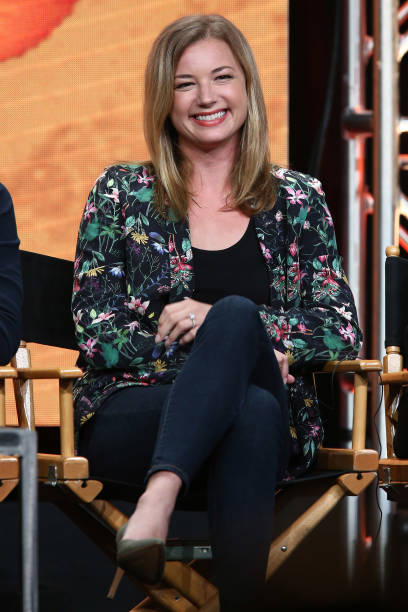 Gallery of Emily VanCamp