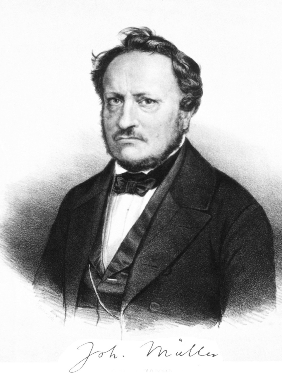teacher: Johannes Muller
