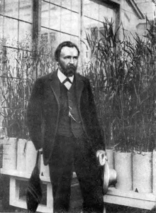 Gallery of Dmitry Pryanishnikov