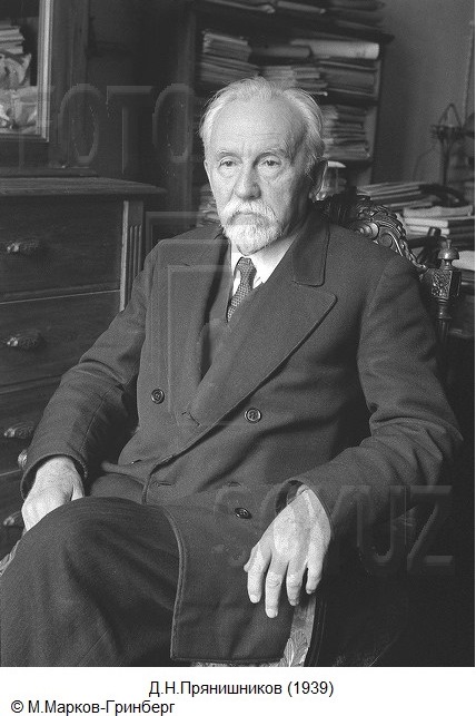 Gallery of Dmitry Pryanishnikov