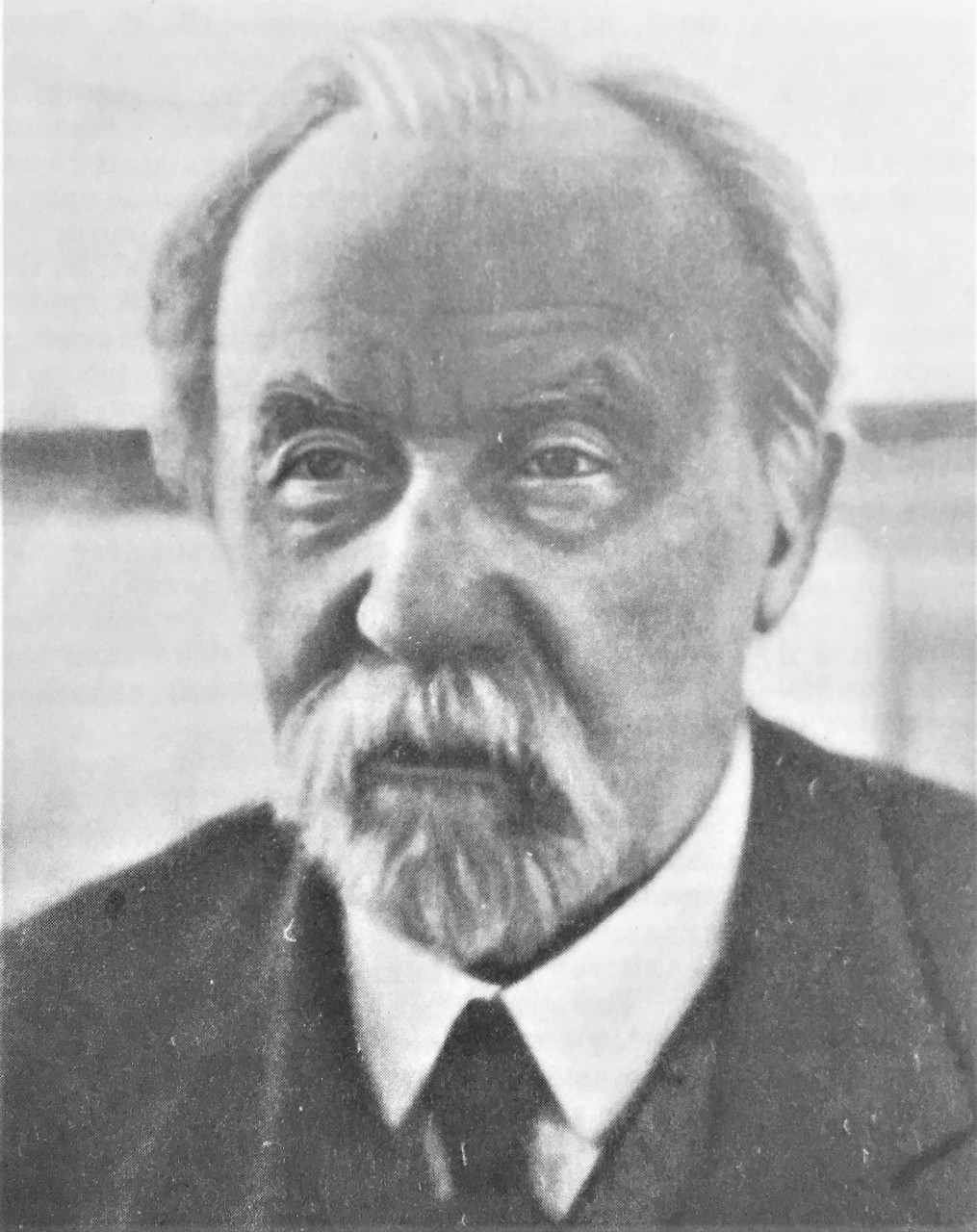 Gallery of Dmitry Pryanishnikov