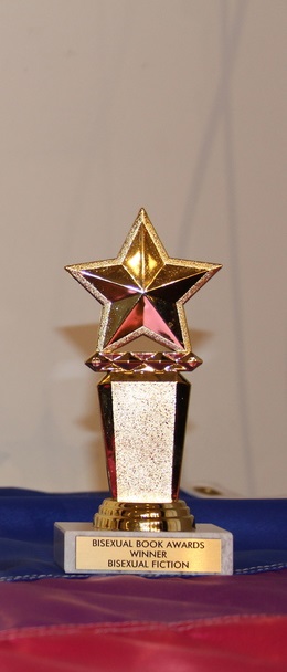 Bisexual Book Award