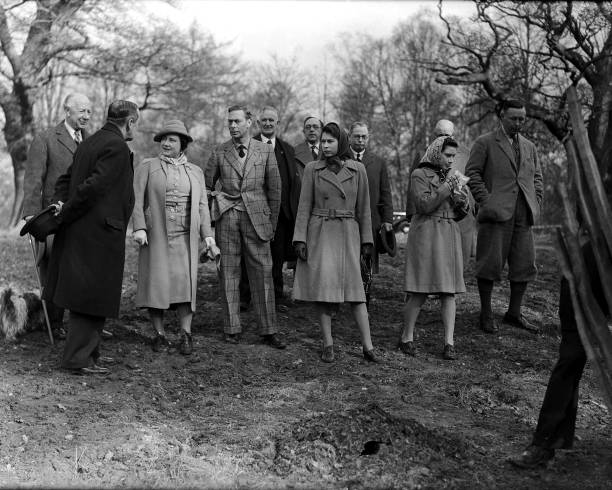 Gallery of George VI