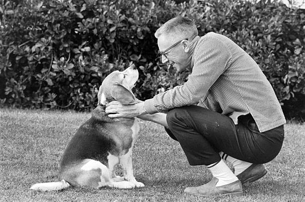 Gallery of Charles Schulz