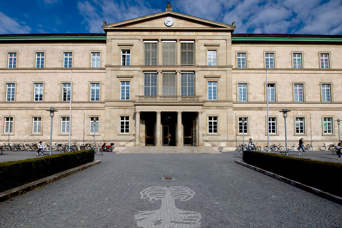 Gallery of Julius von Mayer