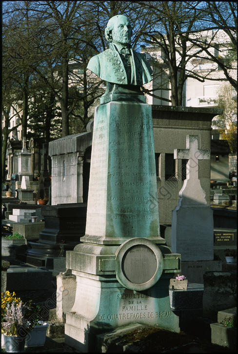 Gallery of Jean Louis de Quatrefages de Bréau